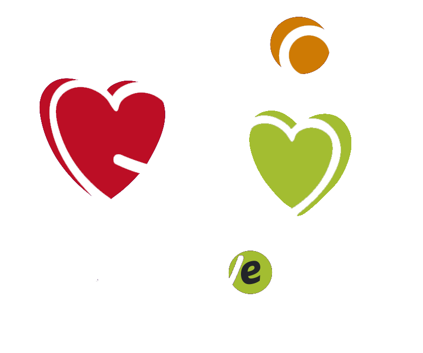 Bike e Link